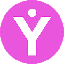 Biểu tượng logo của yOUcash