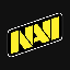 Natus Vincere Fan Token NAVI icon symbol