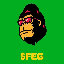 Biểu tượng logo của FEG Token