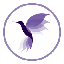 Hummingbird Finance (Old) HMNG icon symbol