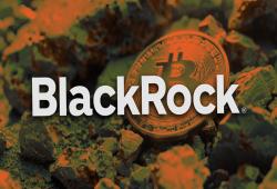 giá bitcoin: BlackRock bổ sung 4,1 triệu đô la Bitcoin ETF giao ngay IBIT của mình vào hai quỹ