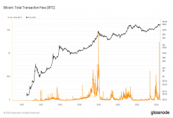 giá bitcoin: Biến động Phí Bitcoin sau Halving nêu bật động lực doanh thu mới cho máy khai thác